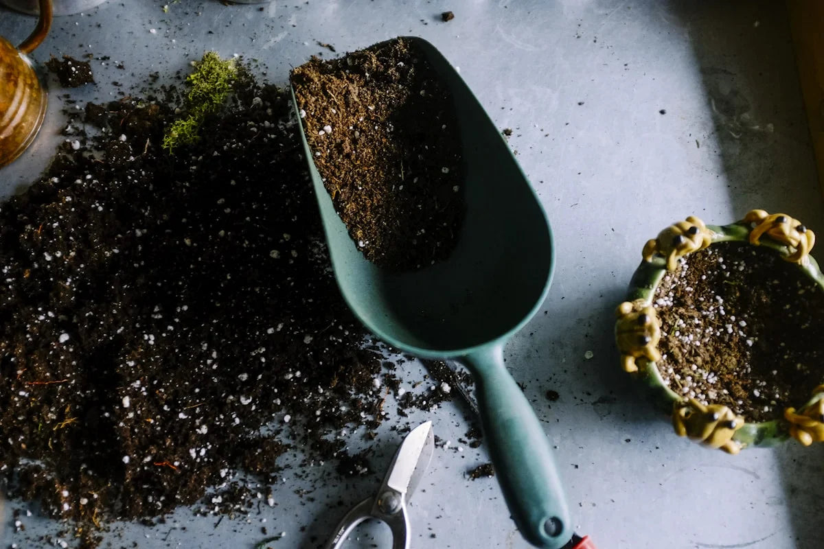 Home and garden products for indoor and outdoor living spaces