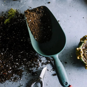 Home and garden products for indoor and outdoor living spaces