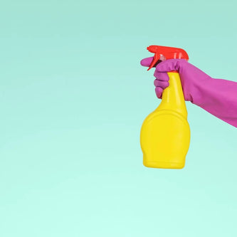 Essential household cleaning supplies and home maintenance products