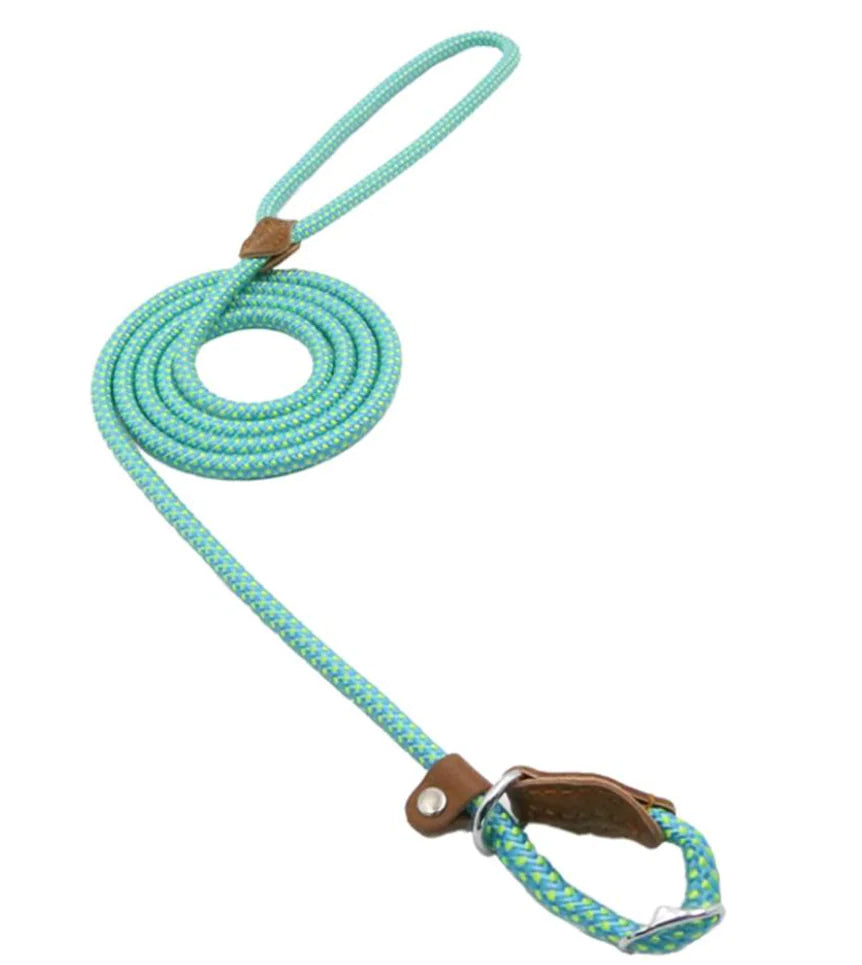 Nylon Pup Set – Braided Rope Dog Leash & Collar Set for Small to Medium Dogs (1.5mm & 2.0mm Options)