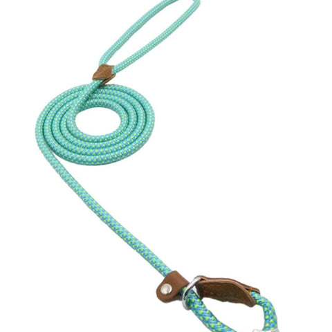 Nylon Pup Set – Braided Rope Dog Leash & Collar Set for Small to Medium Dogs (1.5mm & 2.0mm Options)