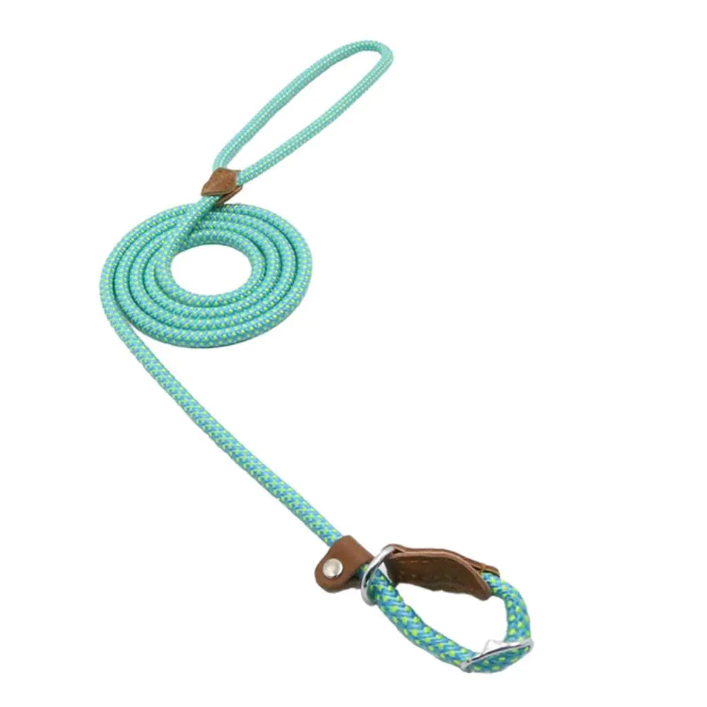 Nylon Pup Set – Braided Rope Dog Leash & Collar Set for Small to Medium Dogs (1.5mm & 2.0mm Options)