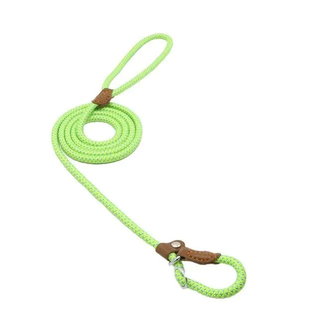 Nylon Pup Set – Braided Rope Dog Leash & Collar Set for Small to Medium Dogs (1.5mm & 2.0mm Options)