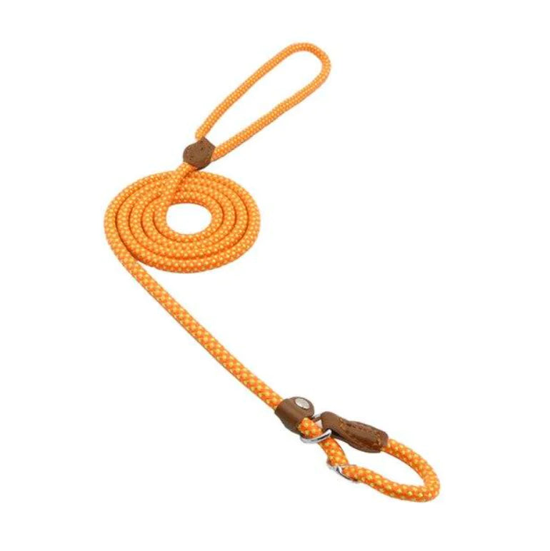 Nylon Pup Set – Braided Rope Dog Leash & Collar Set for Small to Medium Dogs (1.5mm & 2.0mm Options)