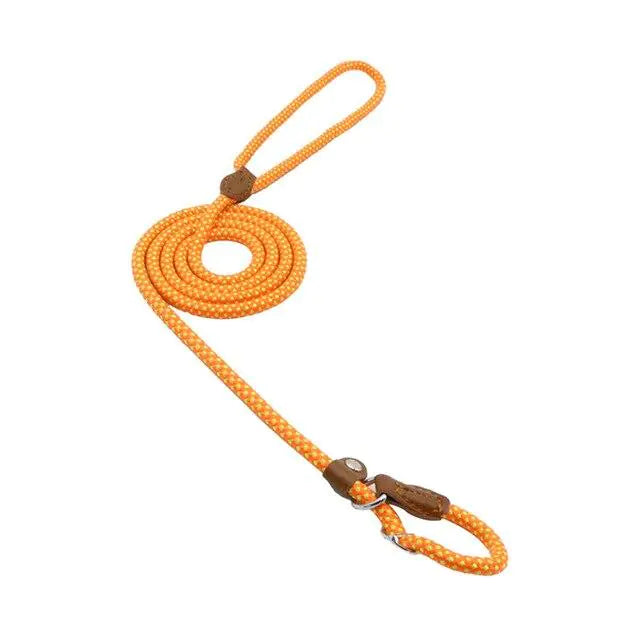 Nylon Pup Set – Braided Rope Dog Leash & Collar Set for Small to Medium Dogs (1.5mm & 2.0mm Options)