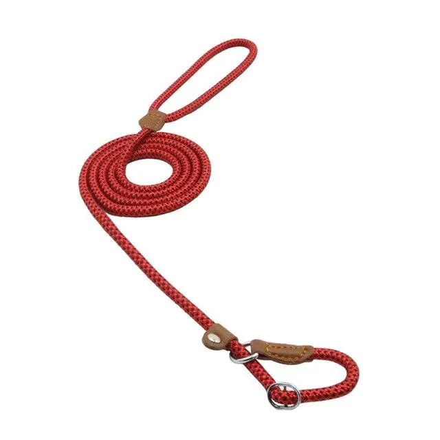 Nylon Pup Set – Braided Rope Dog Leash & Collar Set for Small to Medium Dogs (1.5mm & 2.0mm Options)