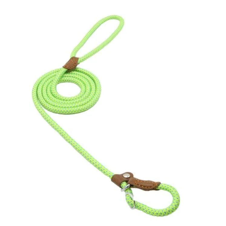 Nylon Pup Set – Braided Rope Dog Leash & Collar Set for Small to Medium Dogs (1.5mm & 2.0mm Options)