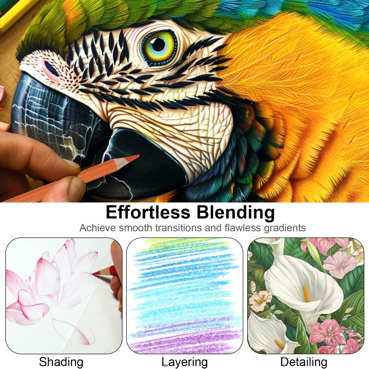 Vibrant 72-Count Colored Pencils Set for Adults - Premium Oil-Based Drawing Pencils for Creative Expression and Stunning Artwork