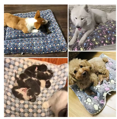 Flannel Pet Sleeping Mat Dog Bed Cat Litter Puppy Bed Dog Sofa Lovely Mattress Cushion for Small Large Dog Blanket For Winter