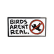 Birds Aren't Real Golf Ball Marker