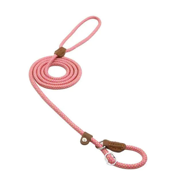 Nylon Pup Set – Braided Rope Dog Leash & Collar Set for Small to Medium Dogs (1.5mm & 2.0mm Options)