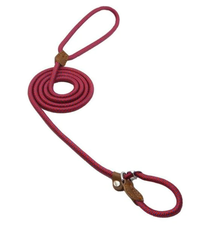 Nylon Pup Set – Braided Rope Dog Leash & Collar Set for Small to Medium Dogs (1.5mm & 2.0mm Options)