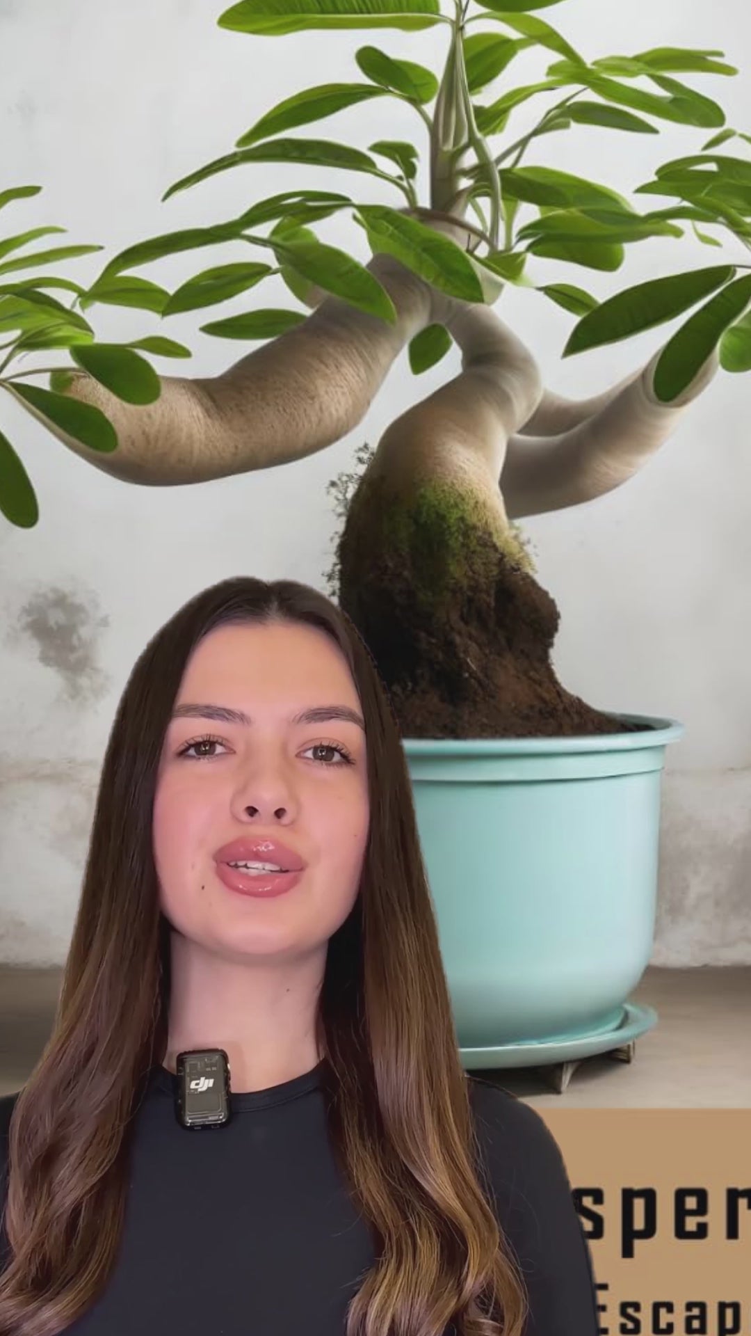 Unleash Your Creativity with Botanical Whispers: An Elegant Coloring Escape for Mindful Relaxation