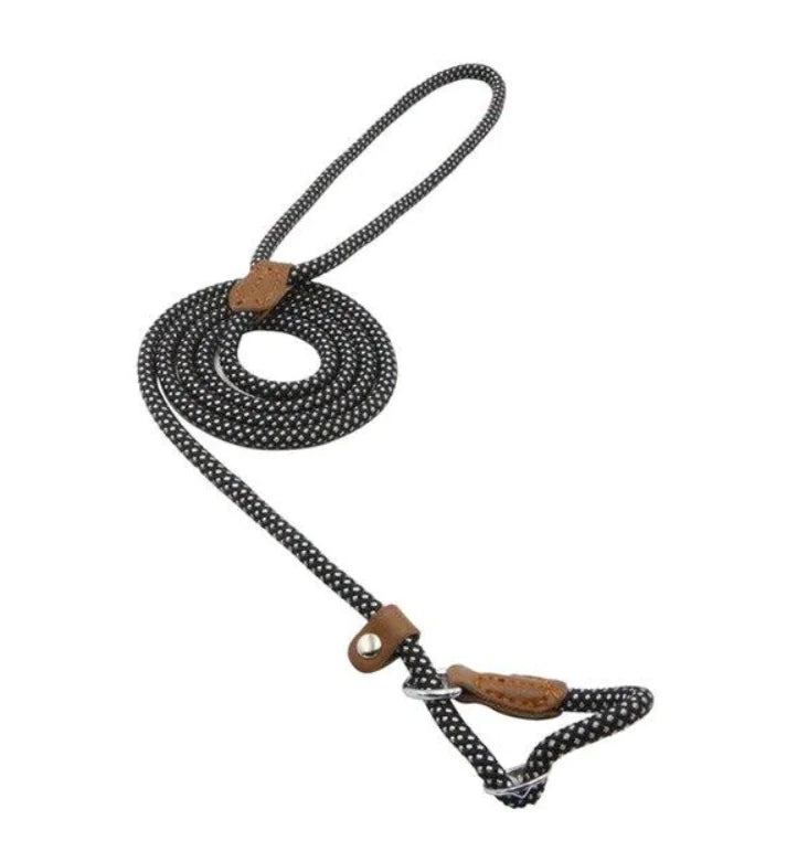 Nylon Pup Set – Braided Rope Dog Leash & Collar Set for Small to Medium Dogs (1.5mm & 2.0mm Options)