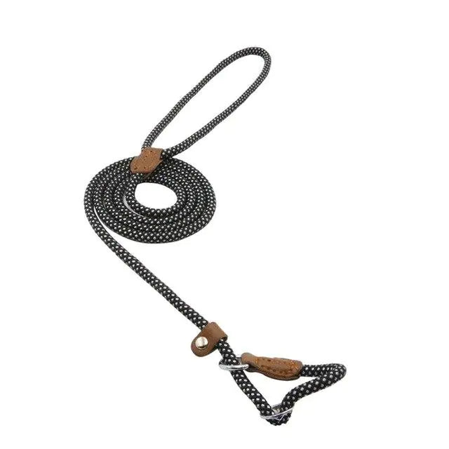 Nylon Pup Set – Braided Rope Dog Leash & Collar Set for Small to Medium Dogs (1.5mm & 2.0mm Options)